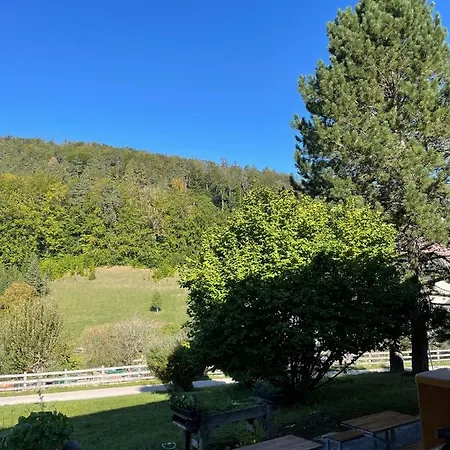 Dorfpension Mariahilfberg Πανσιόν Gutenstein