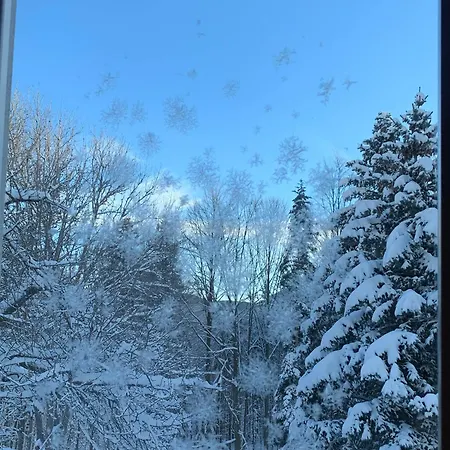 Dorfpension Mariahilfberg