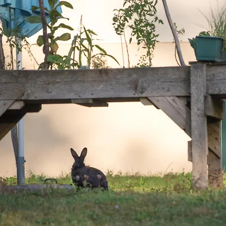 Dorfpension Mariahilfberg 3*