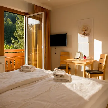 Πανσιόν Dorfpension Mariahilfberg 3*