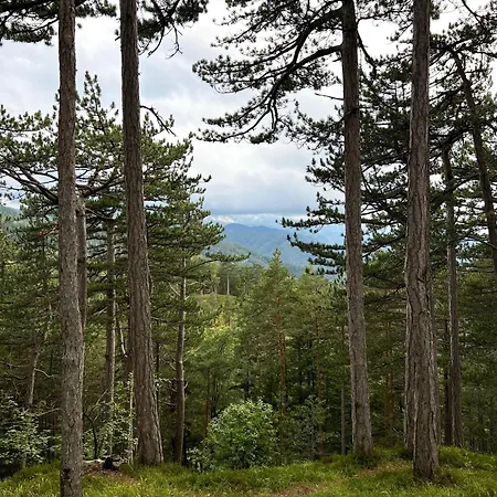 Dorfpension Mariahilfberg Πανσιόν 3*